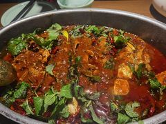 -黔渔翁豆花渎鱼(喷水池店)