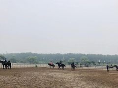 -月河湾马术俱乐部(朝阳店)