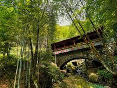 -藏龙百瀑风景区