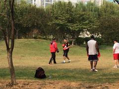 -西北湖绿化广场