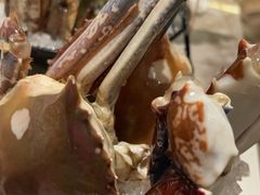 -阳光岛·海鲜盛宴(银泰中心in99店)