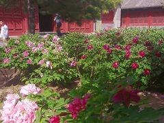 -大钟寺古钟博物馆