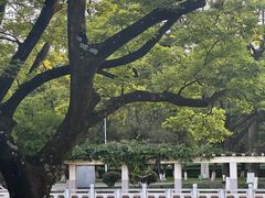 -云南师范大学(一二一西南联大校区)