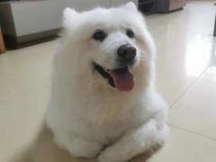 -立德动物医院·24小时中心(番禺区院区)