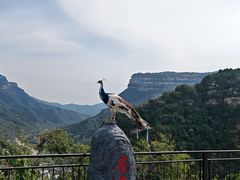 -苍岩山风景名胜区
