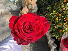 -FEI FEI FLOWER鲜花店·气球派对·宝宝宴布置(虹口德必运动Loft店)