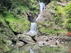 -石台牯牛降景区