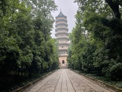 -灵谷景区