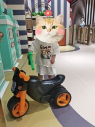 -meland club亲子乐园(重庆万象城店)