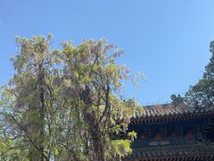 -北京国子监胡同