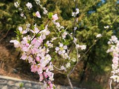 -北京十三陵国家森林公园蟒山景区