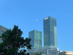 -深圳湾公园(南山区)