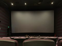 -大光明新国际影城(青浦吾悦店)