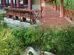 -大亚湾红树林城市湿地公园