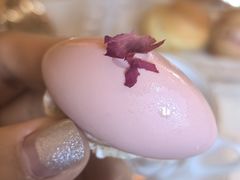 -Salon de Ville浦江汇(上海外滩华尔道夫酒店店)