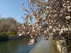 -元大都城垣遗址公园