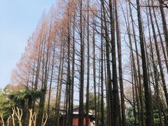 -东坡赤壁风景名胜区