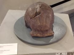 -北京周口店北京人遗址博物馆