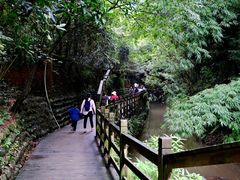 -凤栖山