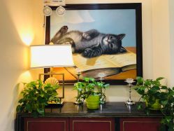 -咪咪比基尼脱毛专业店