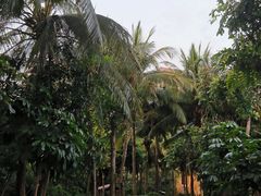 -三亚湾海居铂尔曼度假酒店