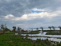 -洱海月湿地公园