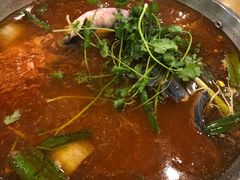 酸汤鱼-新凯里酸汤鱼(飞山街店)