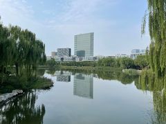 -大兴滨河森林公园