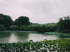 -河南省黄河迎宾馆