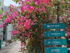 -默迹咖啡馆