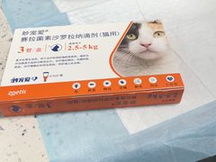 -半岛宠物医院24小时(科华中路店)