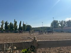 -北京群众马术培训基地