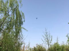 -白鹭湾湿地公园