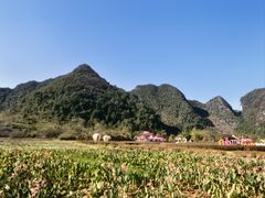 -靖西鹅泉风景区