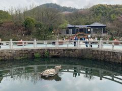 -白马涧龙池景区