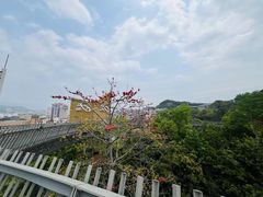 -福道