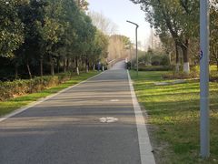 -昆山城市生态森林公园