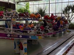 -南宫五洲植物乐园