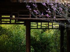 -苏州上方山国家森林公园