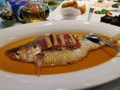 古法蒸鲥鱼-老洋房花园饭店(绍兴路店)