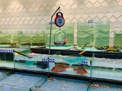-新海利海鲜城·41年珠海老字号(夏湾店)
