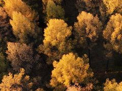 -塞罕坝国家级自然保护区