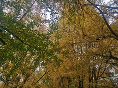 -四川大学(华西校区)