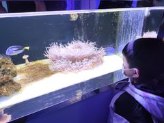 -无锡海洋馆