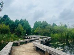 -清溪水库