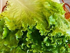 -清花阁乌拉满族火锅(厦门街店)