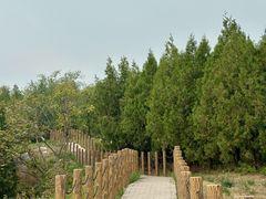 -白水寺森林公园