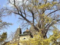 -北京石刻艺术博物馆(五塔寺)