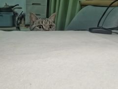 -北京恒爱动物医院(清景园分院)