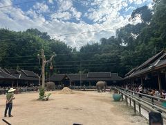 -野象谷景区